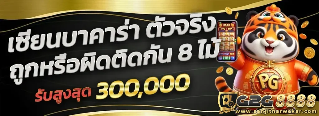 g2g8888 ทางเข้า